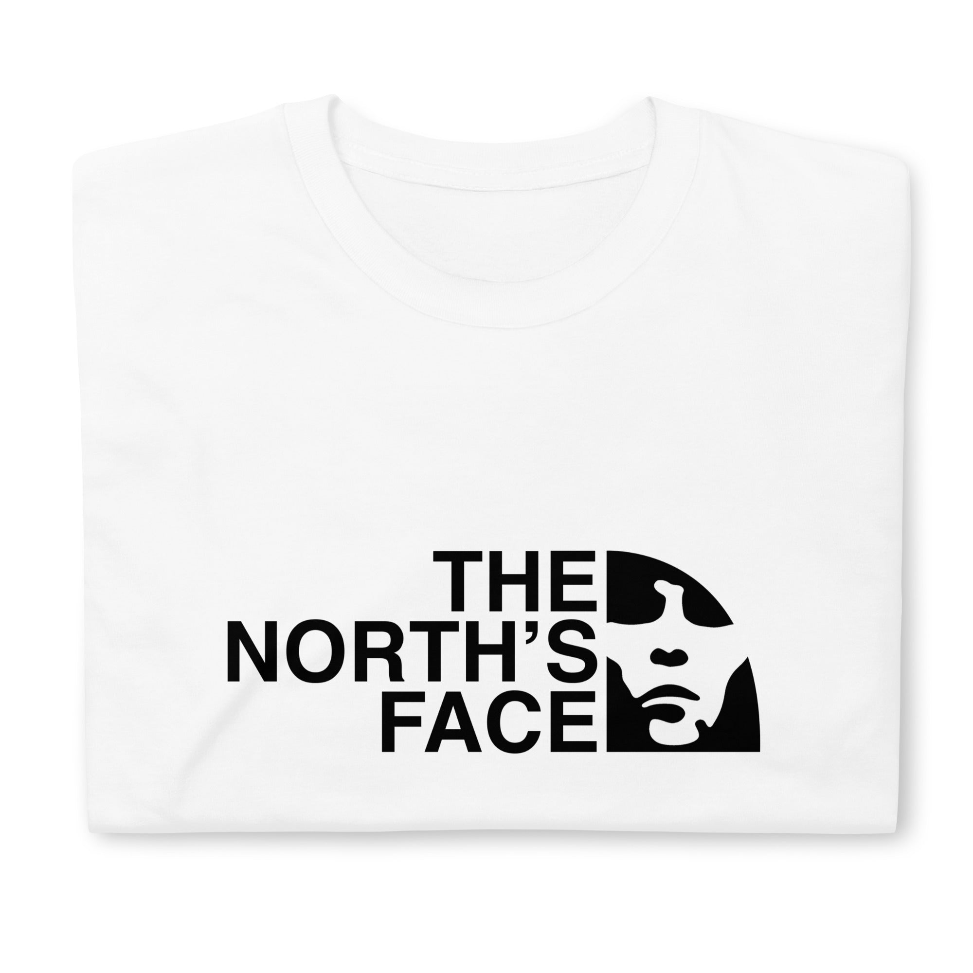 The north face store ian brown t shirt